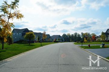 Sanctuary Club subdivision in Kildeer, IL