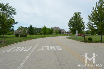 Long Meadow Farms subdivision in Long Grove, IL