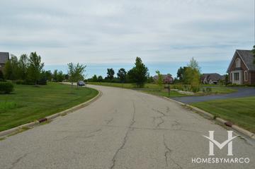 Long Meadow Farms subdivision in Long Grove, IL