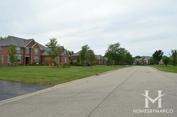 Long Meadow Farms subdivision in Long Grove, IL