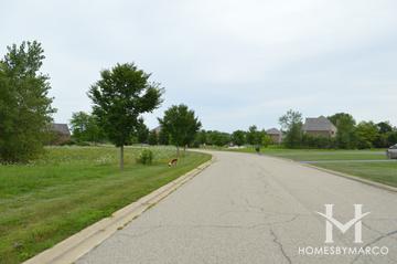 Long Meadow Farms subdivision in Long Grove, IL
