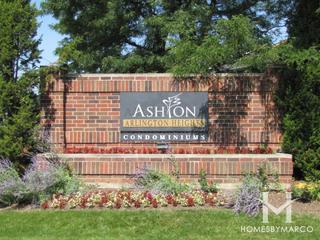 Photos of Ashton subdivision in Arlington Heights, IL