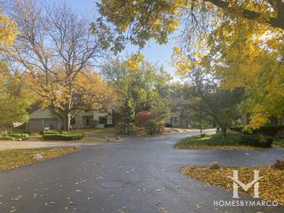 Woodlands subdivision in Darien, IL