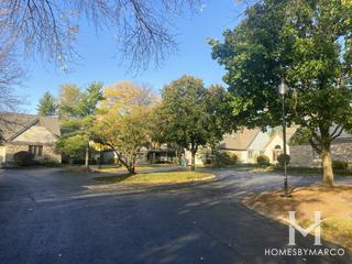 Woodlands subdivision in Darien, IL