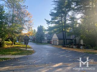 Woodlands subdivision in Darien, IL