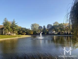 Woodlands subdivision in Darien, IL
