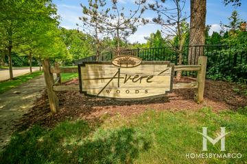 Avere Woods