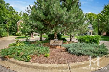 Avere Woods subdivision in Naperville, IL
