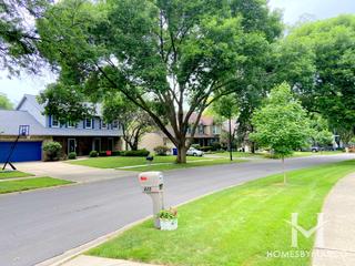 Caroline Woods subdivision in Naperville, IL