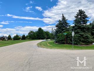 Coventry Heights subdivision in New Lenox, IL