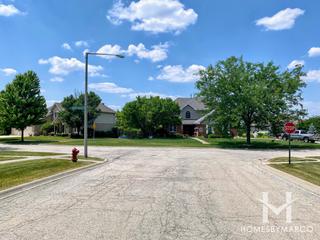 Palmer Ranch subdivision in New Lenox, IL