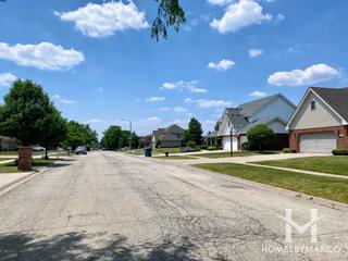 Palmer Ranch subdivision in New Lenox, IL