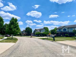 Palmer Ranch subdivision in New Lenox, IL