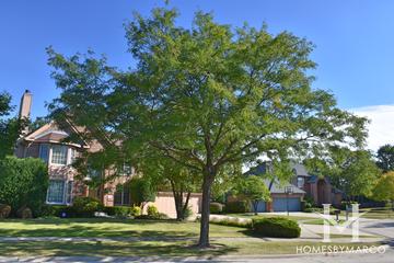 Avanti Ridge subdivision in Northbrook, IL