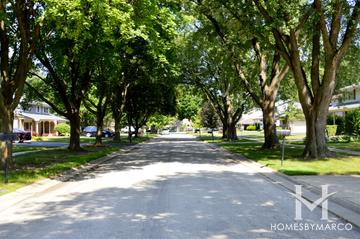 Shenandoah subdivision in Palatine, IL