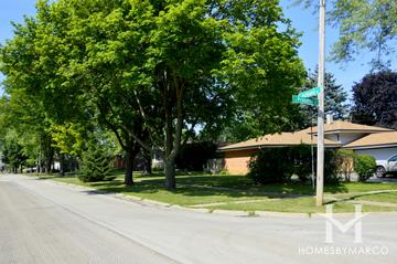 Shenandoah subdivision in Palatine, IL