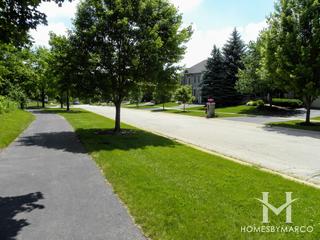 Mill Creek Tanna subdivision in Geneva, IL