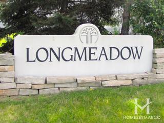 Longmeadow Estates subdivision in Mundelein, IL