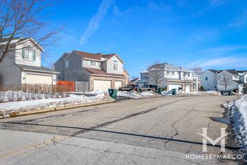 Longmeadow Estates subdivision in Mundelein, IL