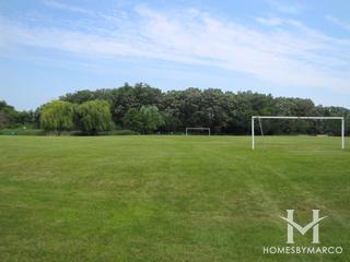 Longmeadow Estates subdivision in Mundelein, IL