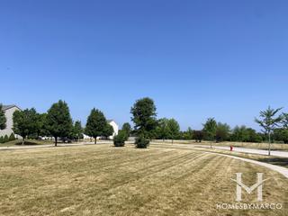 The Oaks at Irish Prairie subdivision in McHenry, IL