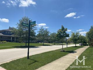 Bridges Of Mokena subdivision in Mokena, IL