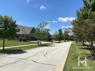 Bridges Of Mokena subdivision in Mokena, IL
