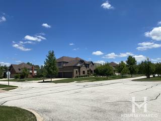 Bridges Of Mokena subdivision in Mokena, IL