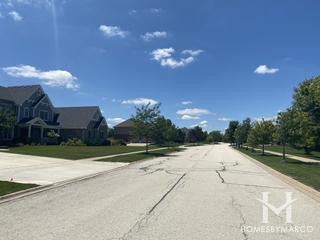 Bridges Of Mokena subdivision in Mokena, IL