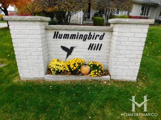 Hummingbird Hill