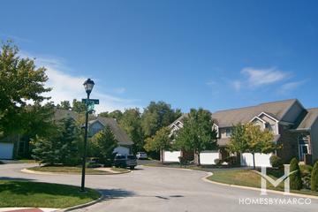 Bridgeview Creek West subdivision in Palatine, IL