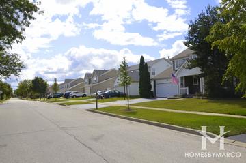 Cambridge Country North subdivision in Mundelein, IL