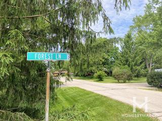Old Orchard subdivision in Lockport, IL
