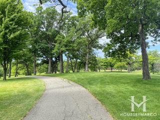 Old Orchard subdivision in Lockport, IL