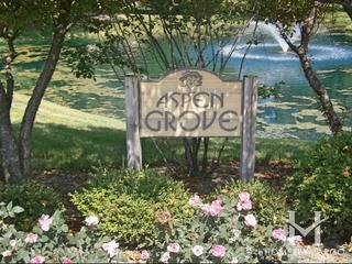 Aspen Grove