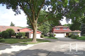 Ivy Hill East subdivision in Arlington Heights, IL