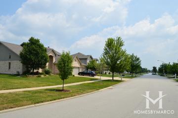 Tinley Trails subdivision in Tinley Park, IL