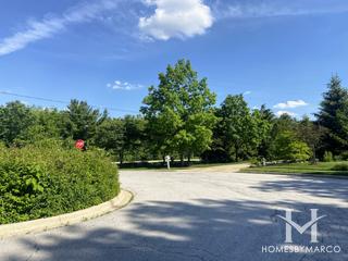 Herrick Hills subdivision in Warrenville, IL