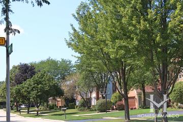 Danada West subdivision in Wheaton, IL