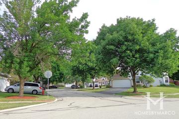 Surrey Woods subdivision in Streamwood, IL