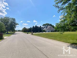 Summerfield subdivision in New Lenox, IL
