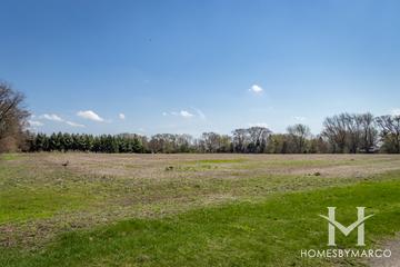 Photos of Ferry Road Farms subdivision in Naperville, IL