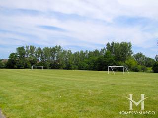 Aspen Meadows subdivision in Palatine, IL