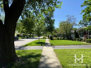 Meadowbrook West subdivision in Wheeling, IL
