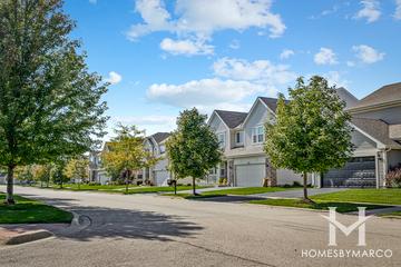 Symphony Meadows subdivision in Volo, IL