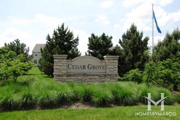 Cedar Grove