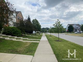 Cedar Grove subdivision in Elgin, IL