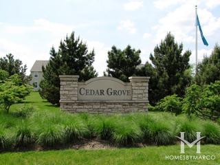 Cedar Grove subdivision in Elgin, IL