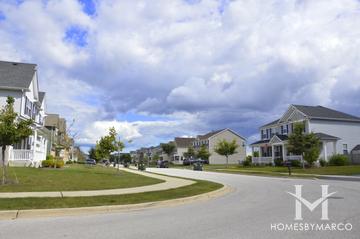 Tall Grass Ridge subdivision in Mundelein, IL