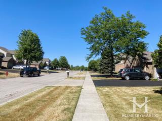 Trails of Boone Creek